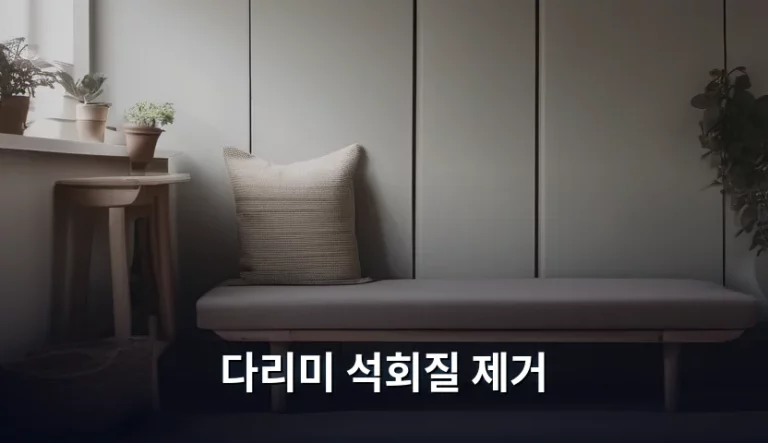 다리미 석회질 제거 방법과 관리 노하우