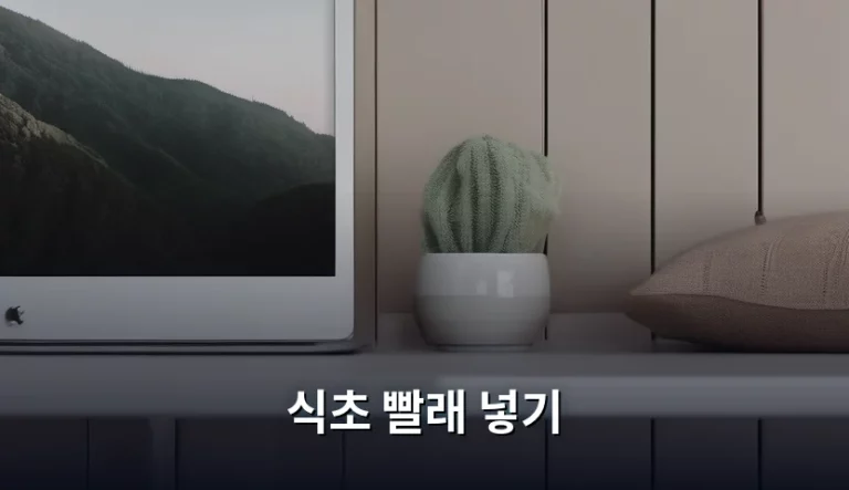 식초 빨래 넣기 활용법과 주의사항 정리