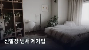 신발장 냄새 제거법, 꿉꿉함 없이 상쾌하게 만드는 꿀팁 대방출