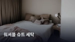 쉽고 간편하게! 워셔블 슈트 세탁 완벽 가이드 (2026년 최신 정보)