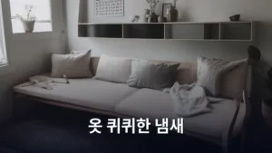 옷장 속 옷 퀴퀴한 냄새, 완벽하게 제거하는 생활 꿀팁 대방출