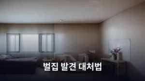 경고! 벌집 발견 대처법, 절대 함부로 만져서는 안 되는 이유와 올바른 대처법