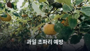 과일 초파리 예방 및 퇴치법 완벽 가이드