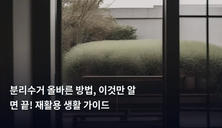 분리수거 올바른 방법, 이것만 알면 끝! 재활용 생활 가이드
