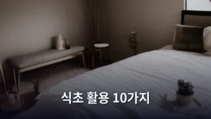 만능 재료 식초 활용 10가지, 생활 속 만능 해결책 찾기