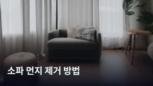 소파 먼지 제거 방법, 청결하게 관리하는 실용적인 노하우 대공개