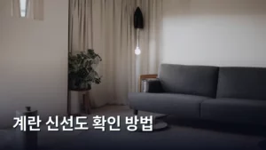 계란 신선도 확인 방법, 이것만 알면 실패 없다!
