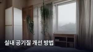 미세먼지 걱정 끝! 확실한 실내 공기질 개선 방법 총정리