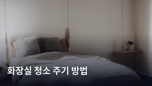 화장실 청소 주기와 완벽한 청소 방법 총정리하기