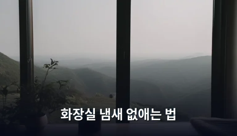 화장실 냄새 없애는 법 및 원인별 해결 가이드