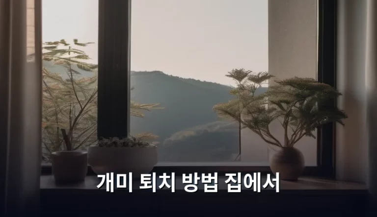 개미 퇴치 방법 집에서 해결하는 노하우