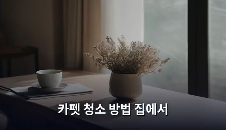 카펫 청소 방법 집에서 관리하는 꿀팁