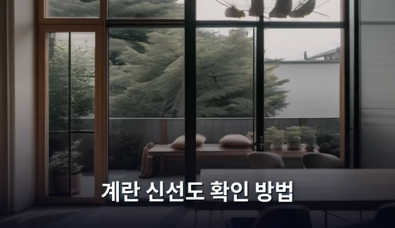 계란 신선도 확인 방법 및 보관 꿀팁 정리