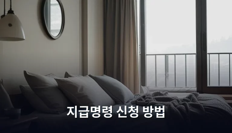 못 받은 돈 돌려받는 지급명령 신청 방법 및 절차 가이드