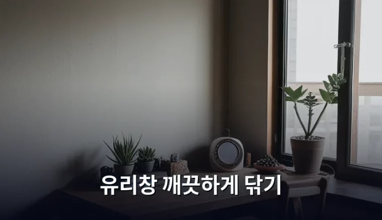 유리창 깨끗하게 닦기 위한 도구 선택과 단계별 청소 방법