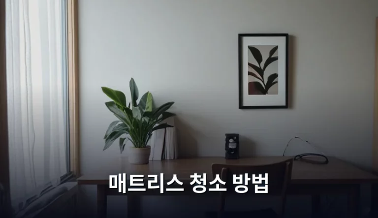 쾌적한 숙면을 위한 매트리스 청소 방법 및 관리 가이드