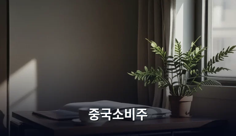 중국소비주 투자 전략과 리스크 관리 가이드