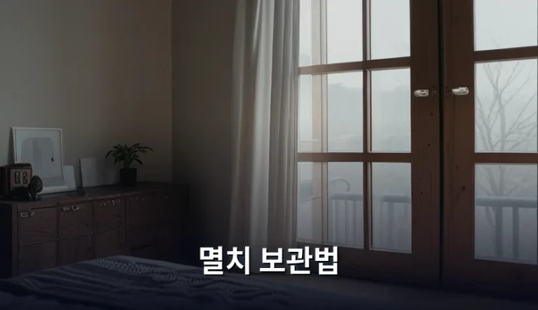 멸치 보관법 및 신선하게 유지하는 꿀팁 정리