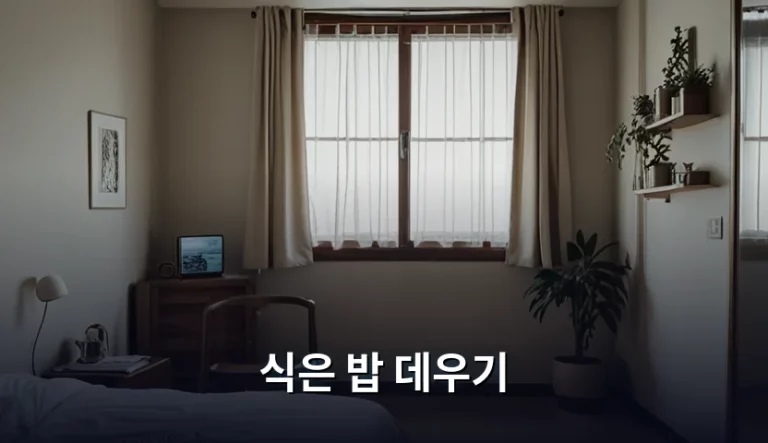 식은 밥 데우기 방법과 갓 지은 밥처럼 만드는 꿀팁