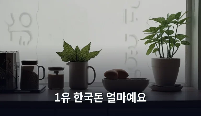 1유로 환율 확인법과 효율적인 환전 방법 가이드