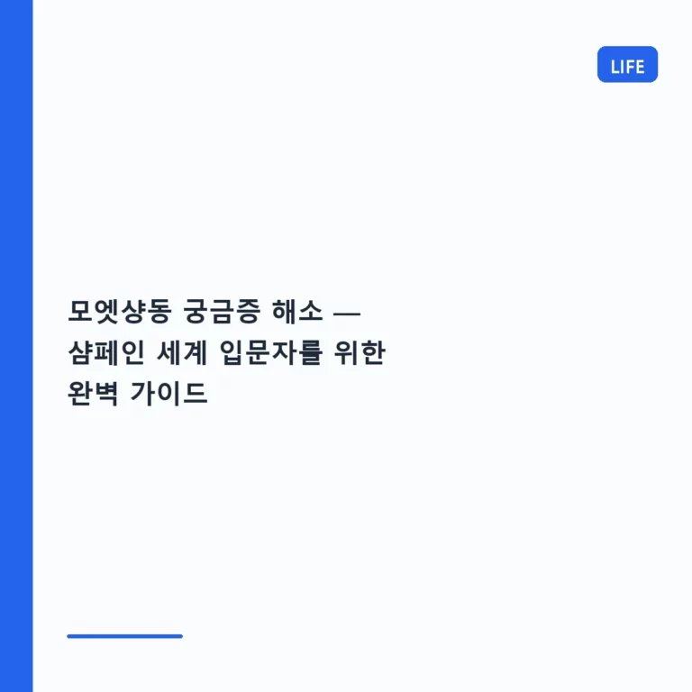 모엣샹동 궁금증 해소 — 샴페인 세계 입문자를 위한 완벽 가이드